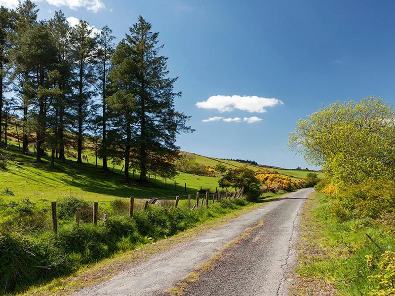 Ballynamult Curradoon Houseヴィラ エクステリア 写真