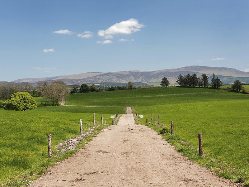 Ballynamult Curradoon Houseヴィラ エクステリア 写真